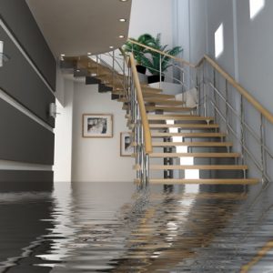 Water Damage Repair in IL