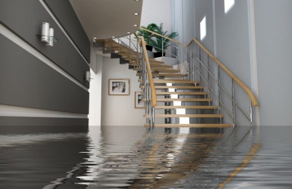 Water Damage Repair in IL