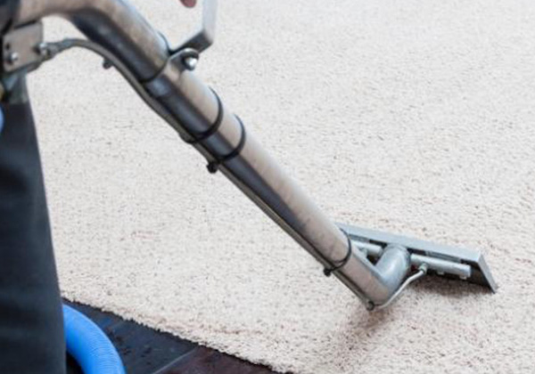 Carpet cleaning company