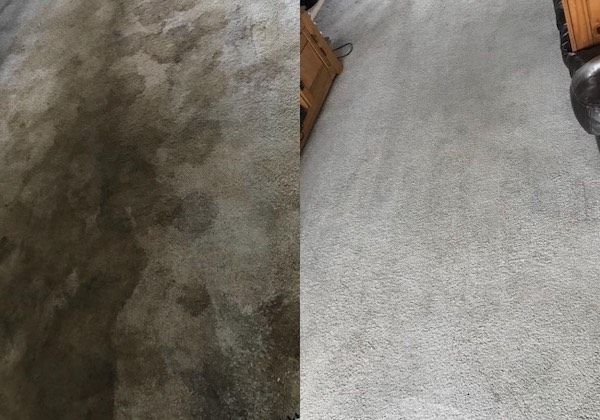 Carpet cleaning
