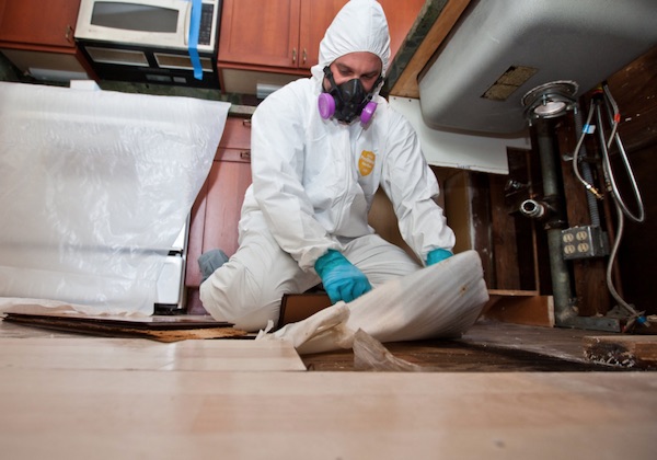 Sewage damage restoration
