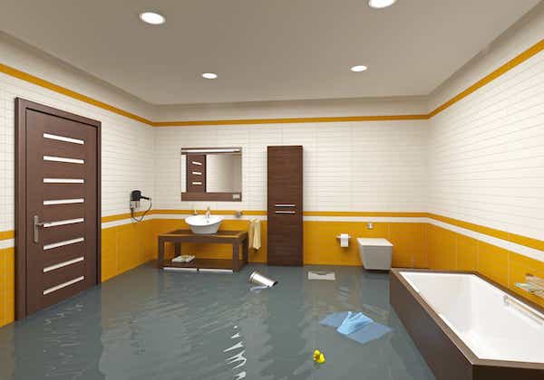 water mitigation service illinois