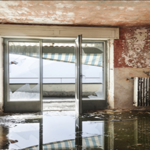 How to Avoid Water Damage in Your Home?