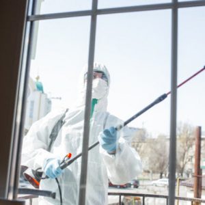 Why It Is Important to Choose the Right Company for Cleaning?