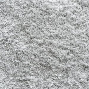 Restore the Carpet after Water Damage