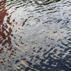 Making Business Resistant to Flash Floods