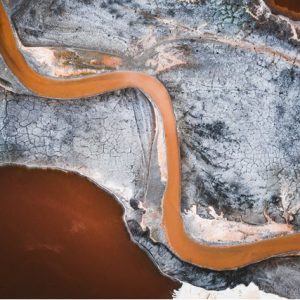 How to Identify that Your Septic Tank Requires Sewage Cleanup?