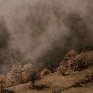 Fire and Smoke Damage Cleanup Guide