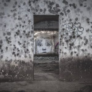 Tips to Identify Mold Growth and Reasons to Its Remediation