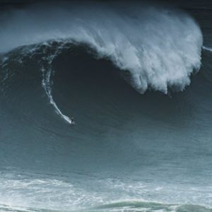 Hurricane’s Damage: Insurance Matters