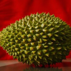 Useful Tips on Smoke Odors Removal