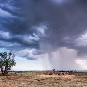 Tornado Alley: Facts and Statistics
