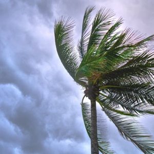 Why Business Cannot Ignore Storm Precautions