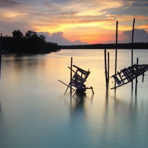 Water Damage and Time as Critical Factor for Its Remediation