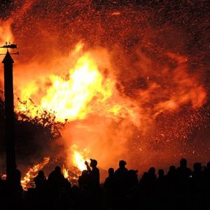 Effective Wildfire and Smoke Damage Remediation Plan