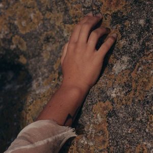 How to Distinguish Between Mold and Mildew