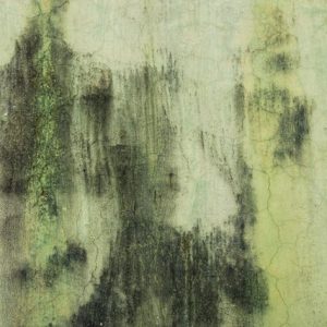 Mold in School: How Serious the Aftermaths Can Be?